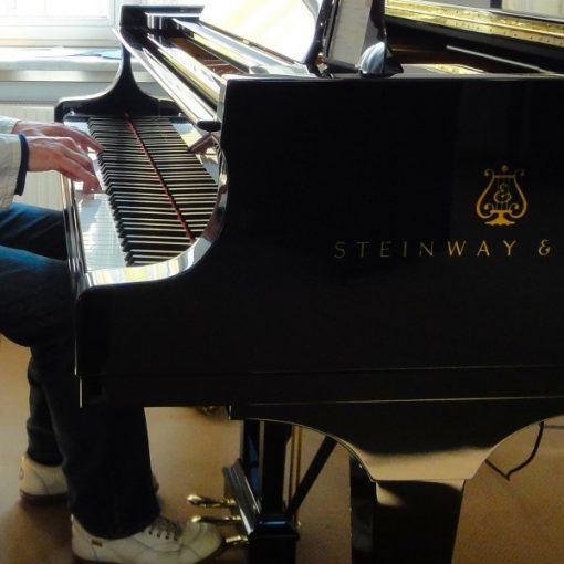 Frank H. Sauer spielt Steinway